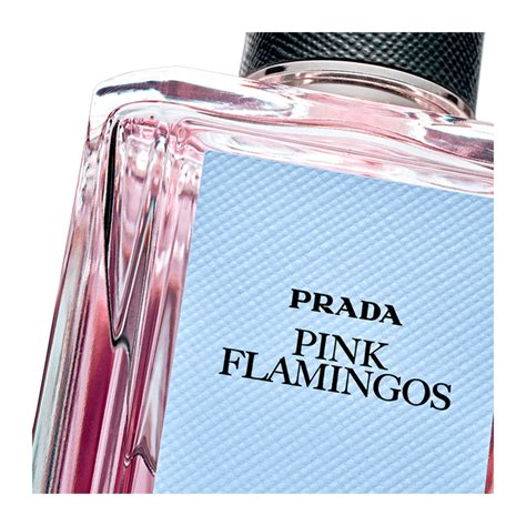 prada parfum femei|prada pink flamingos.